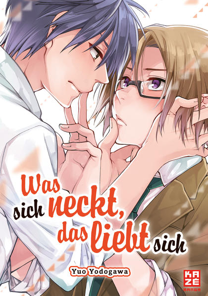 Was sich neckt, das liebt sich | Gay Books & News