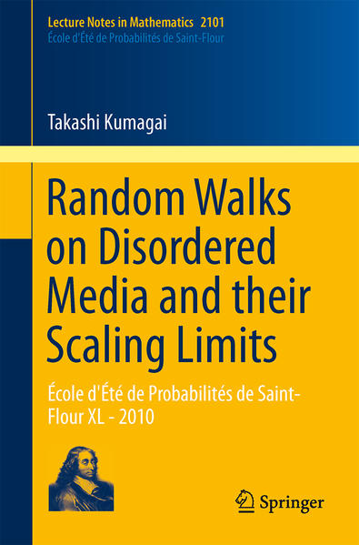 Random Walks on Disordered Media and their Scaling Limits | Gay Books & News