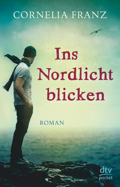 Ins Nordlicht blicken | Gay Books & News