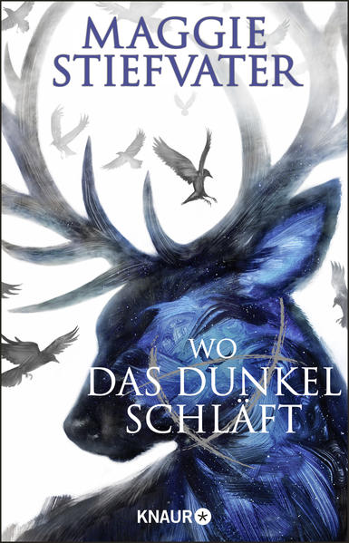 Wo das Dunkel schläft | Gay Books & News