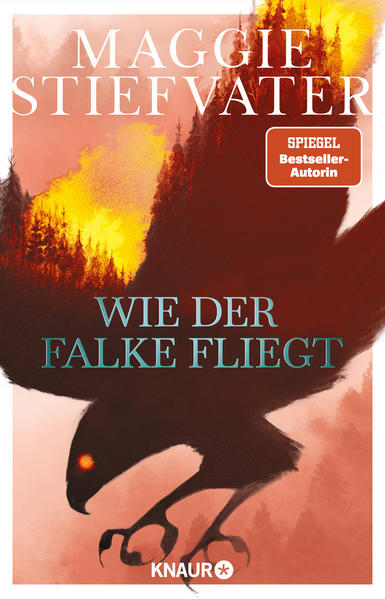 Wie der Falke fliegt | Gay Books & News