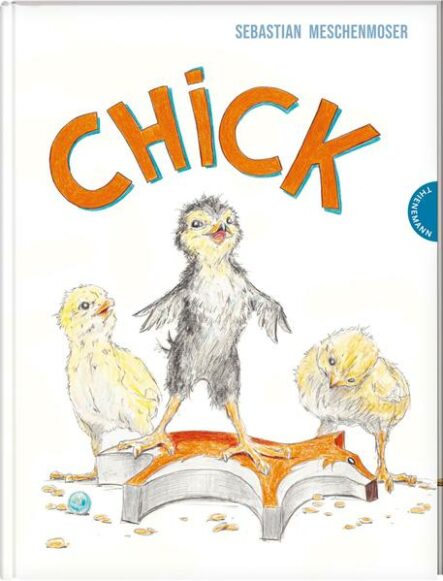 Chick | Gay Books & News