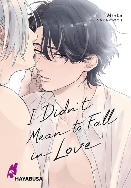 I Didn't Mean to Fall in Love | Gay Books & News