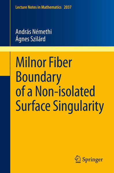 Milnor Fiber Boundary of a Non-isolated Surface Singularity | Gay Books & News