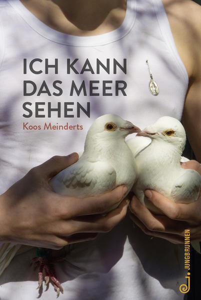 Ich kann das Meer sehen | Gay Books & News