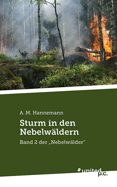 Sturm in den Nebelwäldern | Gay Books & News