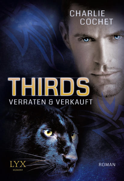 THIRDS - Verraten & Verkauft | Gay Books & News