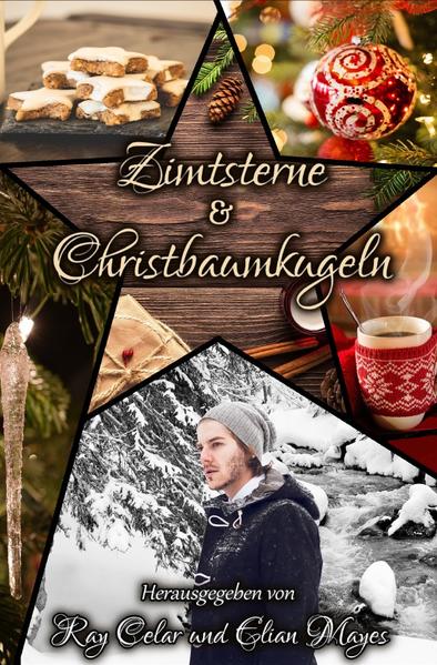 Zimtsterne & Christbaumkugeln | Gay Books & News