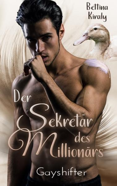 Der Sekretär des Millionärs | Gay Books & News