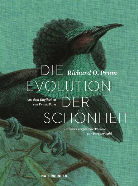 Die Evolution der Schönheit | Gay Books & News