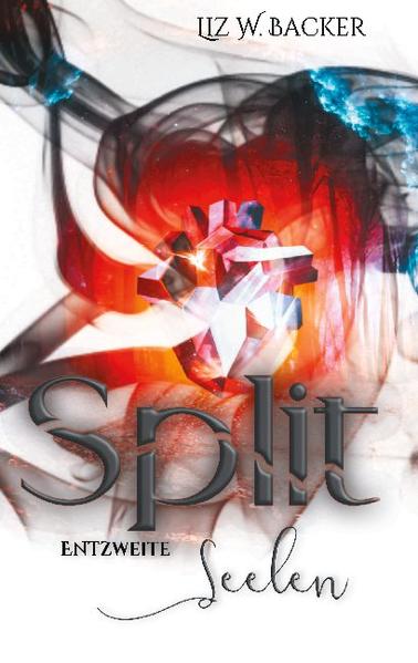 Split | Gay Books & News