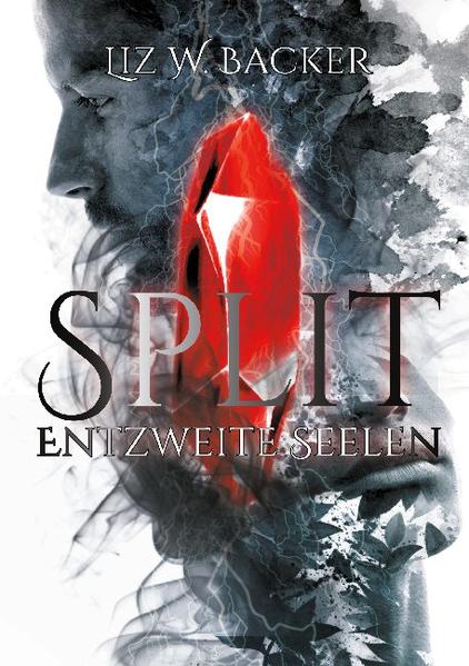 Split: Entzweite Seelen | Gay Books & News