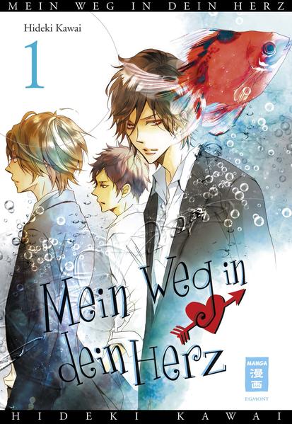 Mein Weg in dein Herz 01 | Gay Books & News