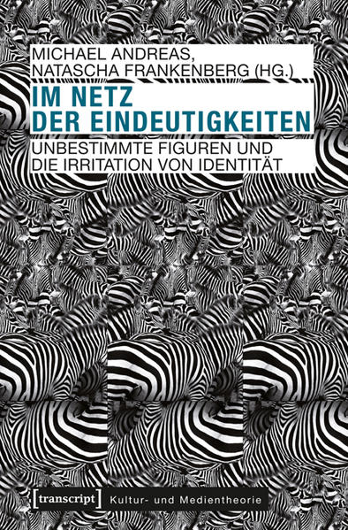 Im Netz der Eindeutigkeiten | Gay Books & News