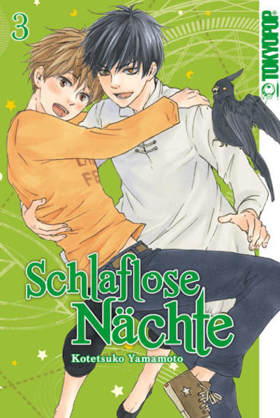 Schlaflose Nächte 03 | Gay Books & News