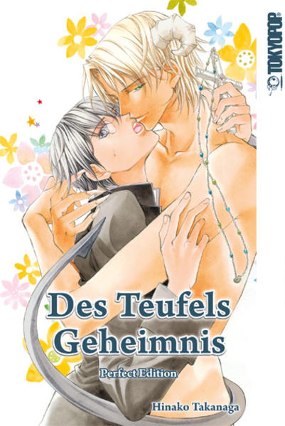 Des Teufels Geheimnis | Gay Books & News