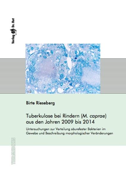 Tuberkulose bei Rindern (M. caprae) aus den Jahren 2009 bis 2014. Untersuchungen zur Verteilung säurefester Bakterien im Gewebe und Beschreibung morphologischer Veränderungen | Gay Books & News