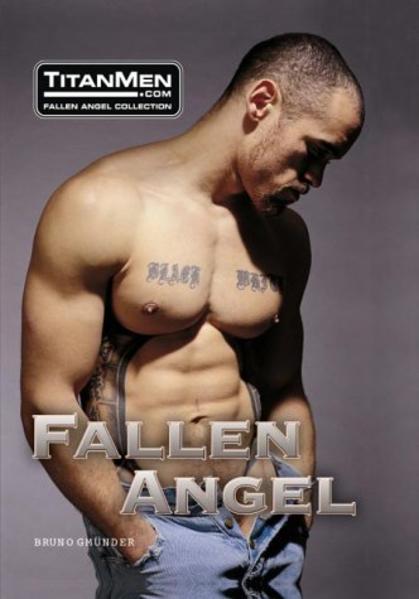 Fallen Angel | Gay Books & News