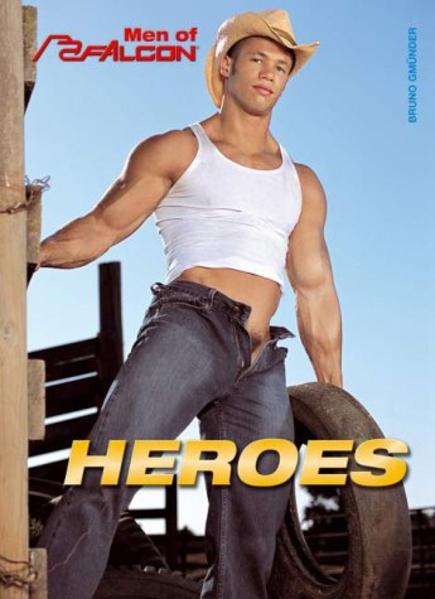 Heroes: Men of Falcon | Gay Books & News