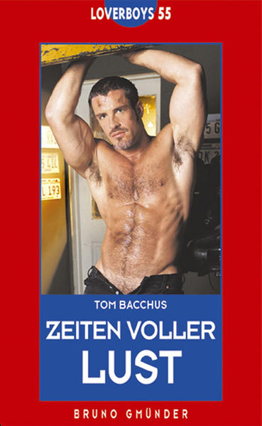 Zeiten voller Lust | Gay Books & News