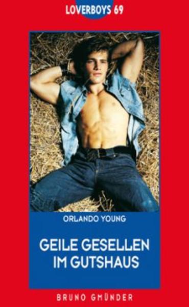 Geile Gesellen im Gutshaus | Gay Books & News