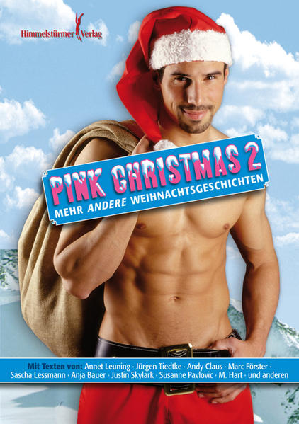 Pink Christmas 2 | Gay Books & News