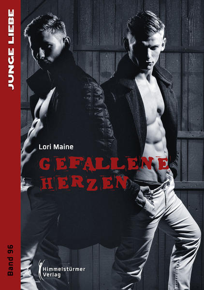 Gefallene Herzen | Gay Books & News