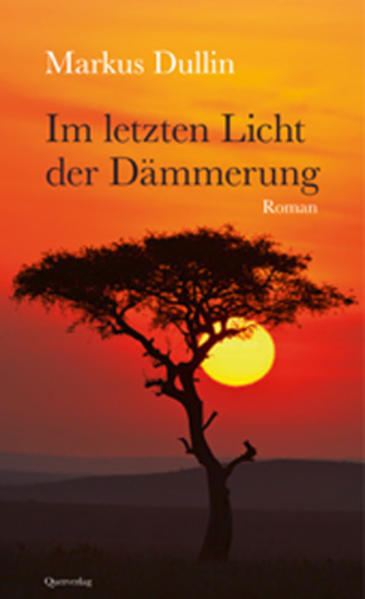 Im letzten Licht der Dämmerung | Gay Books & News