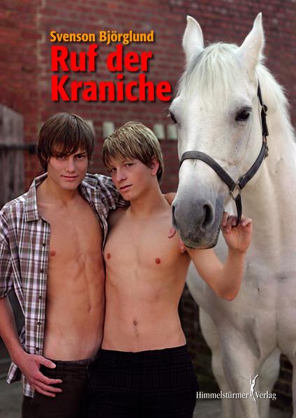 Ruf der Kraniche | Gay Books & News