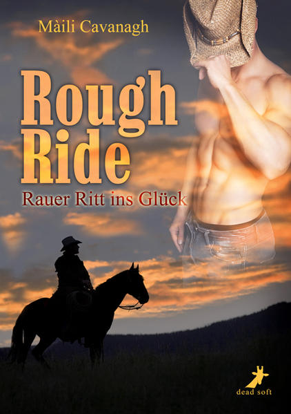 Rough Ride - Rauer Ritt ins Glück | Gay Books & News