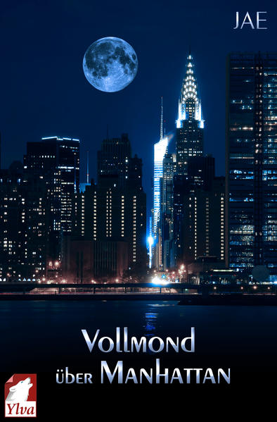 Vollmond über Manhattan | Gay Books & News