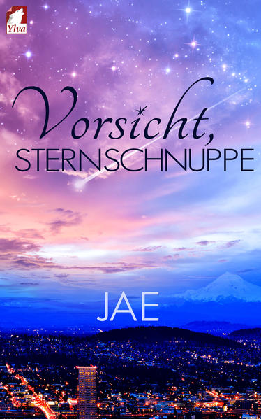 Vorsicht, Sternschnuppe | Gay Books & News