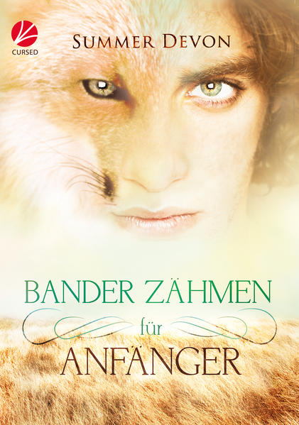 Bander zähmen für Anfänger | Gay Books & News