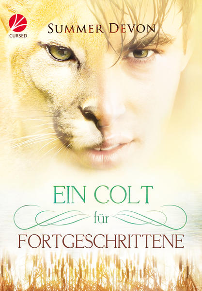 Ein Colt für Fortgeschrittene | Gay Books & News