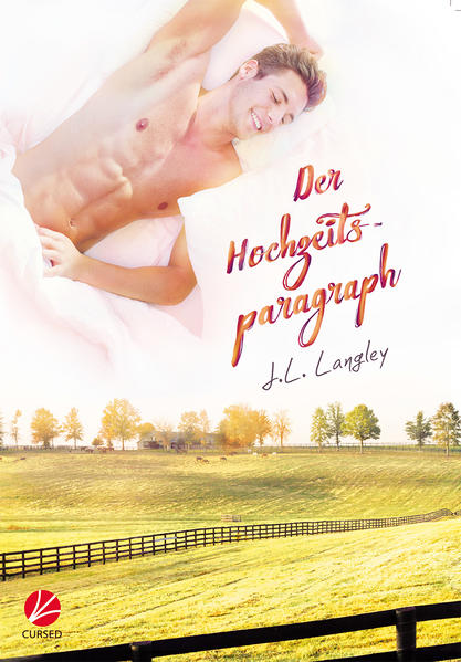 Der Hochzeitsparagraph | Gay Books & News