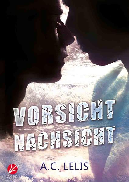 Vorsicht Nachsicht | Gay Books & News