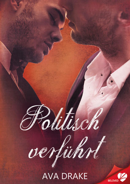 Politisch verführt | Gay Books & News