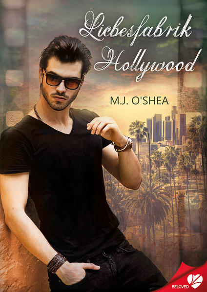 Liebesfabrik Hollywood | Gay Books & News