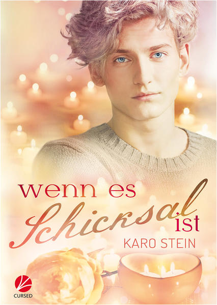 Wenn es Schicksal ist | Gay Books & News