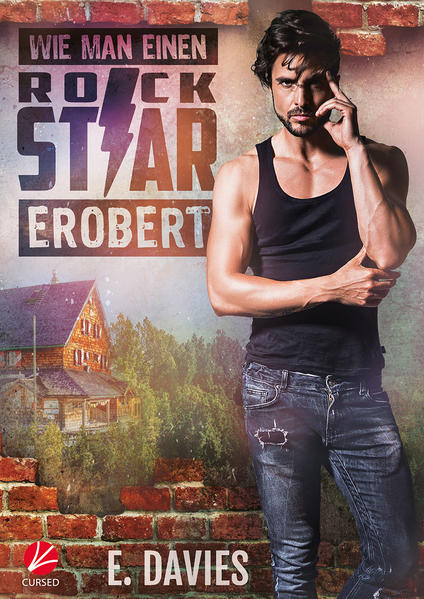 Wie man einen Rockstar erobert | Gay Books & News