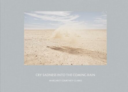 Cry Sadness into the Coming Rain | Gay Books & News