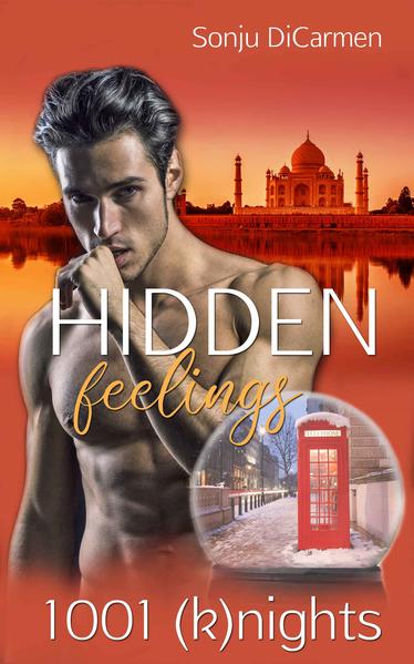 Hidden Feelings | Gay Books & News