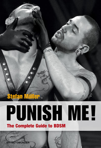 Punish Me! | Gay Books & News