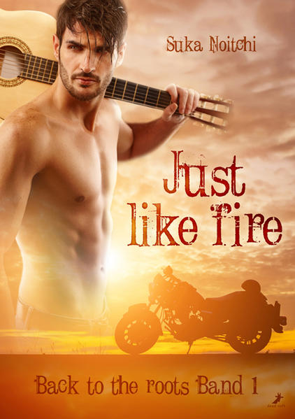 Just like fire | Gay Books & News