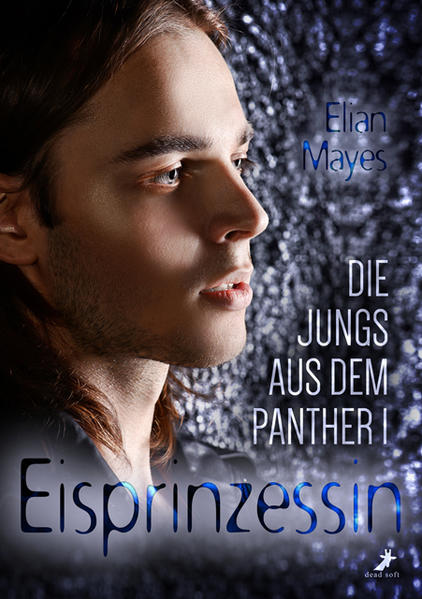 Die Jungs aus dem Panther | Gay Books & News