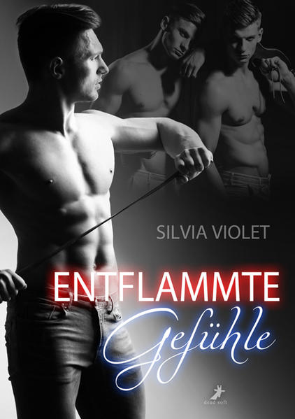 Entflammte Gefühle | Gay Books & News