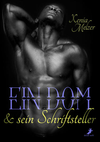 Club Whisper Band 1: Ein Dom und sein Schriftsteller | Gay Books & News