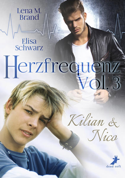 Herzfrequenz Vol. 3 | Gay Books & News