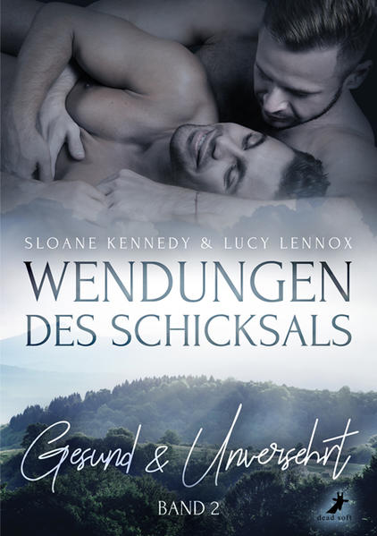 Wendungen des Schicksals 2 | Gay Books & News