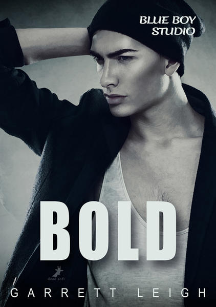 Blue Boy: Bold | Gay Books & News